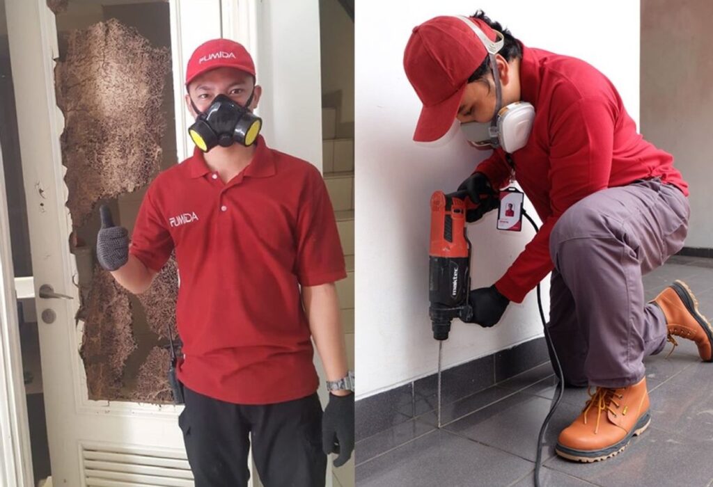 Bahan Alami Untuk Mengatasi Rayap
